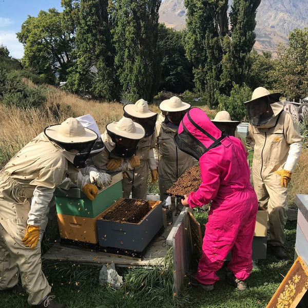 beekeeping experience in Buzzstop