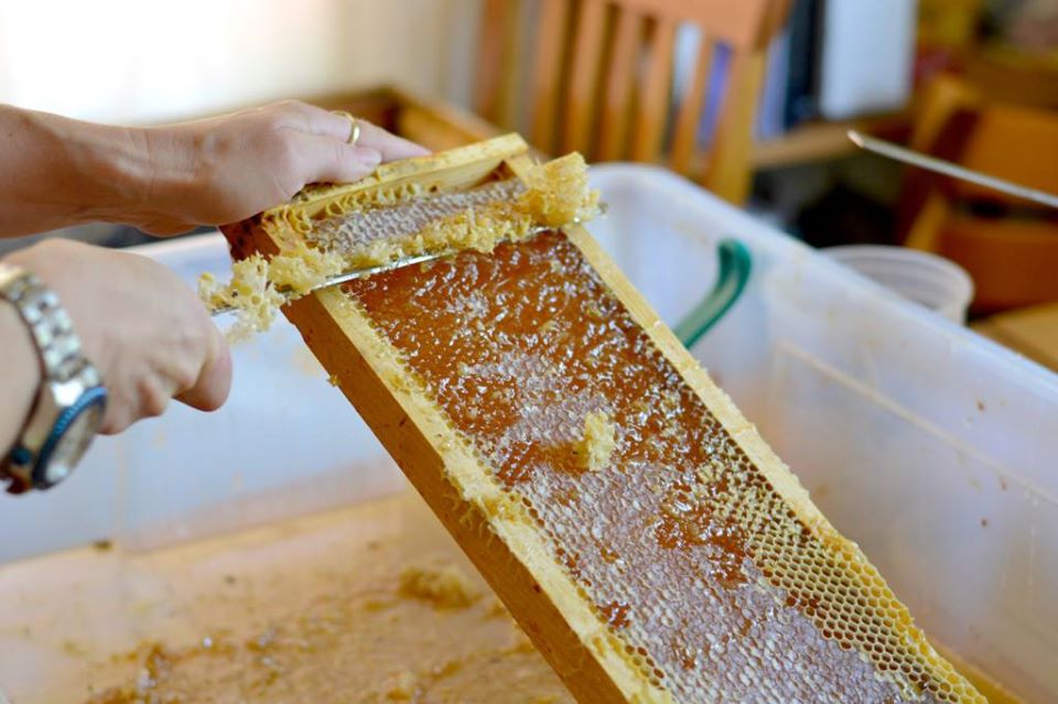 getting pure honey comb