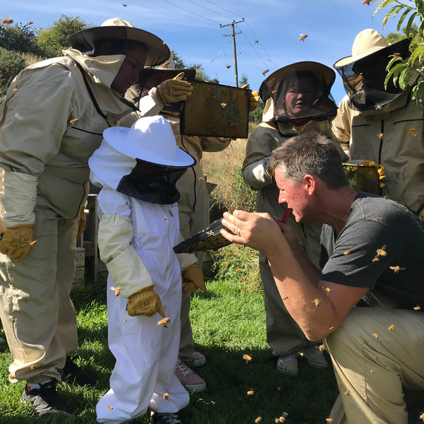 Family learning about bees and beekeeping