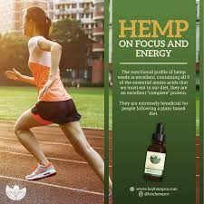 hemp seed oil benefits to the human body