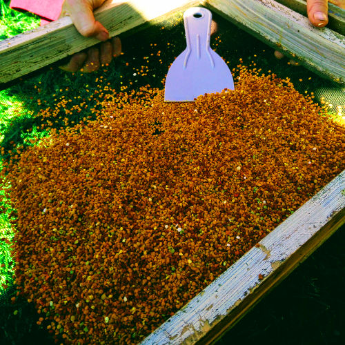 Bee Pollen 250gm